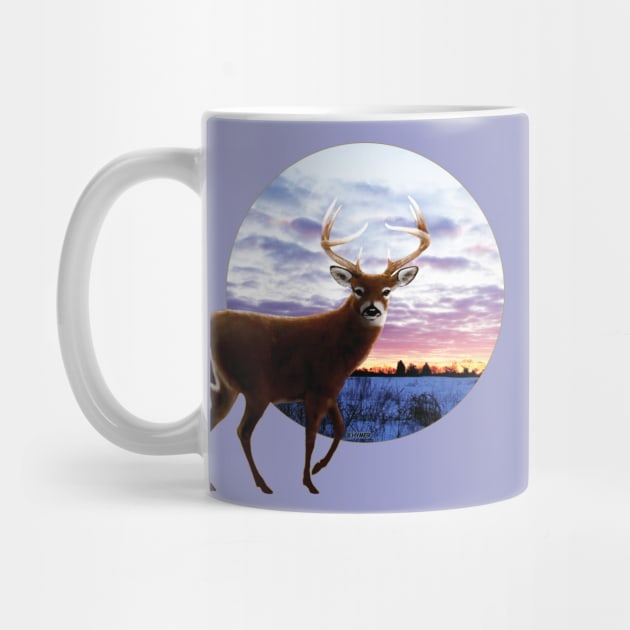 Sunrise Whitetail by bhymer